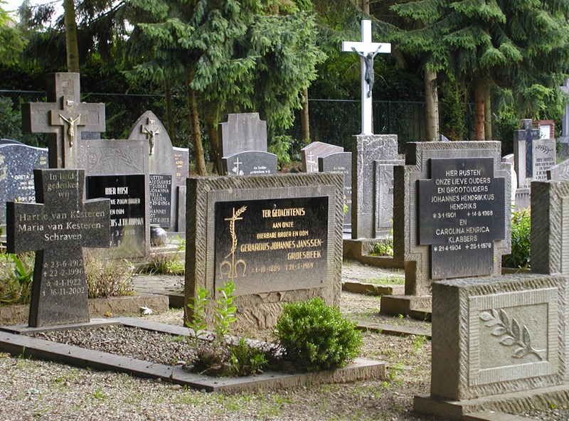 P6100004_kl.jpg