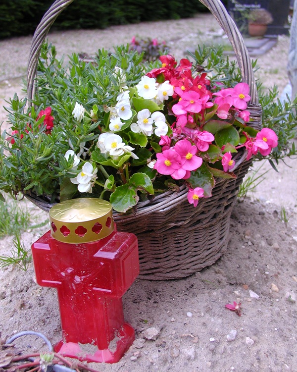 P6100023_kl.jpg
