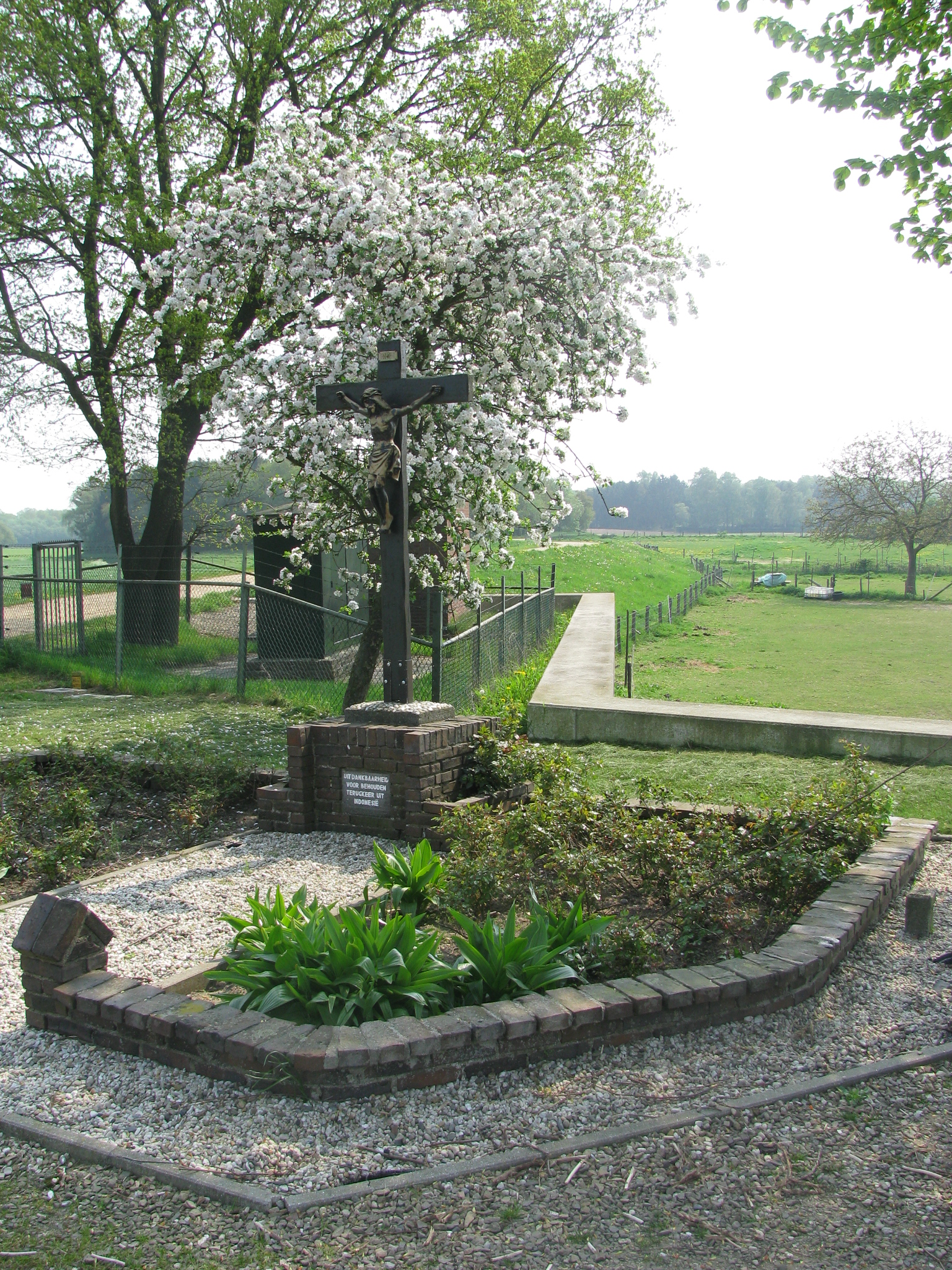 meikruis_pastoorsdijk_019.JPG